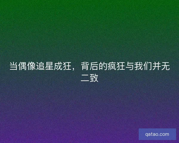当偶像追星成狂,背后的疯狂与我们并无二致 当偶像追星成狂,背后的疯狂与我们并无二致