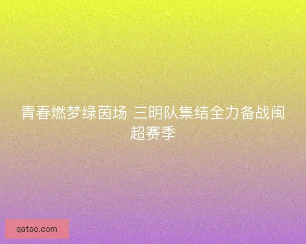 青春燃梦绿茵场 三明队集结全力备战闽超赛季