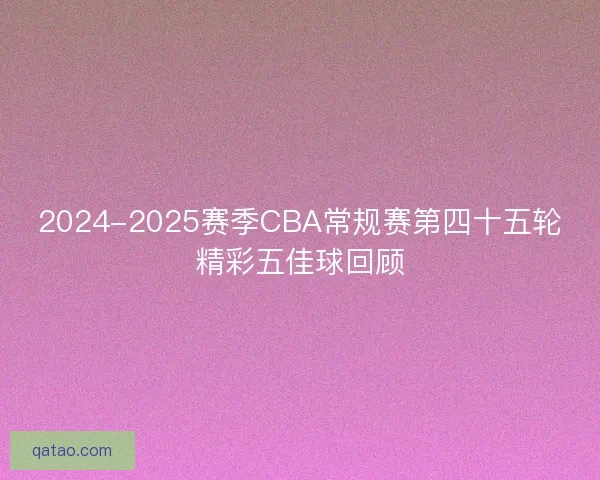 2024-2025赛季CBA常规赛第四十五轮精彩五佳球回顾